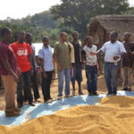 Nigeria - Rice Huller and Thresher