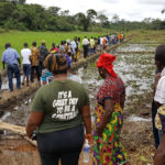 Nigeria - Rice Huller and Thresher